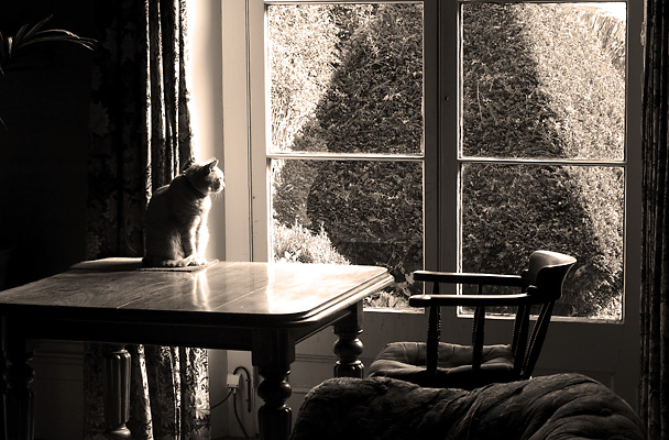 006 Interior, Burford House, distressed