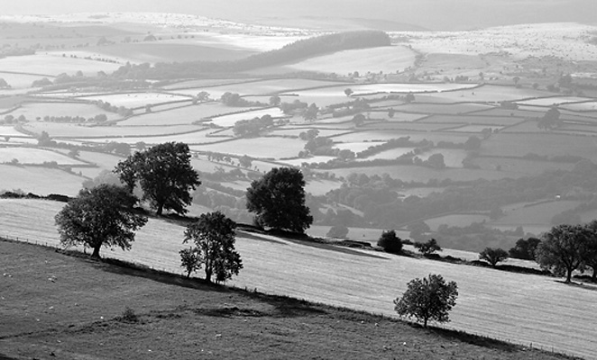 010 Near Hay