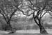 009 Winter, Cwm Gilla